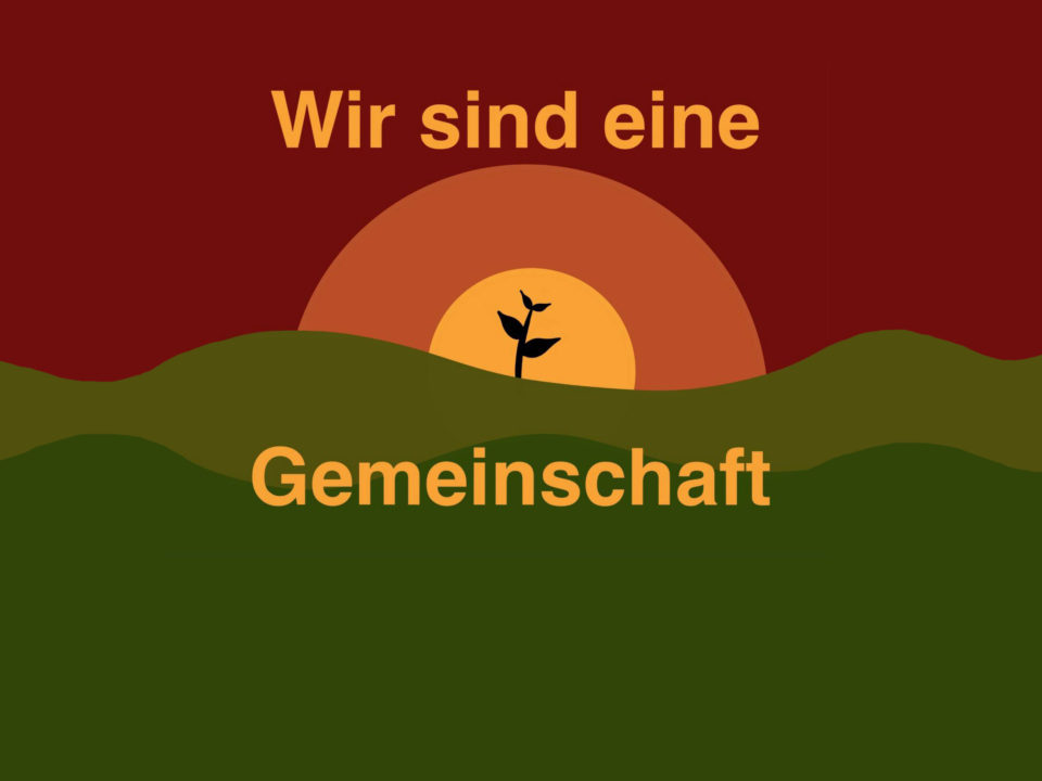 Ausgabe Februar 2022 IRREGUL R